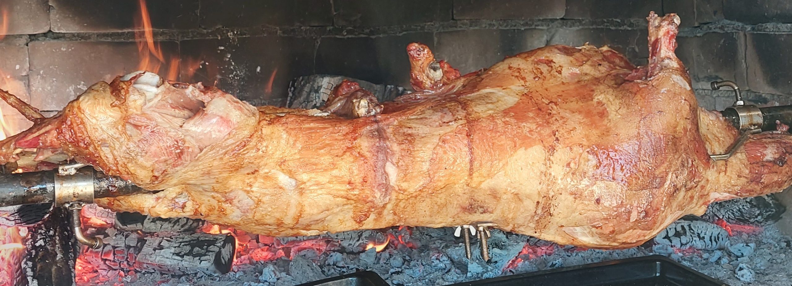 JAGNJETINA